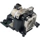 POA-LMP131 LAMPADA SANYO PLC-XU300 XU301 XU305 XU350 XU355