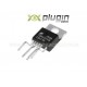 Top247yn - Ci Dip Novo Original!!